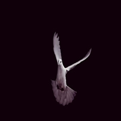 soaring