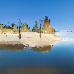 Technical Perfection