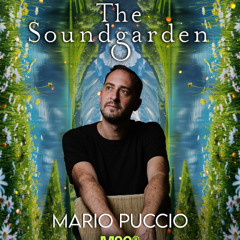 The Soundgarden x Mario Puccio (September 2025)