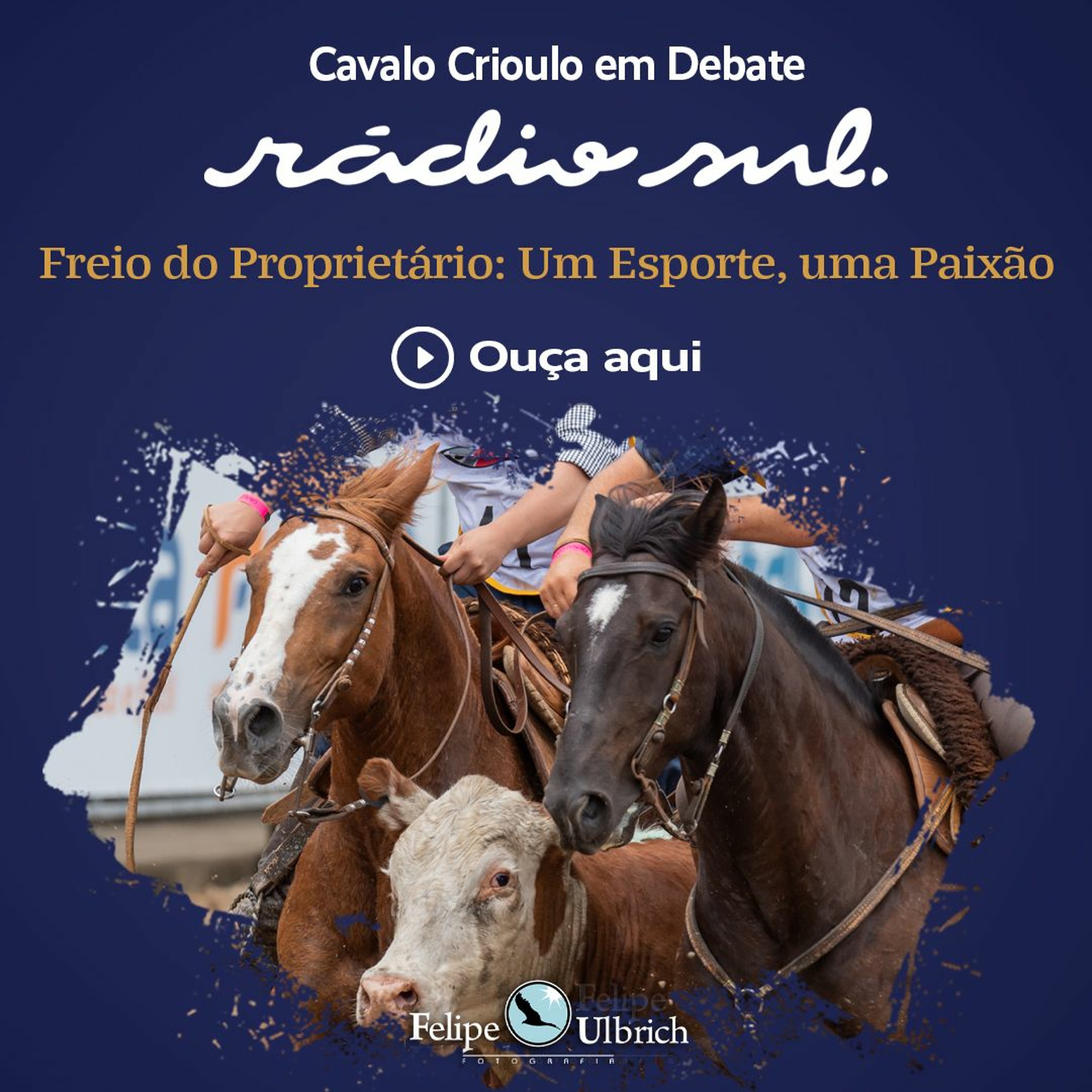 Cavalo Crioulo Em Debate - Freio Do Proprietário Um Esporte, Uma Paixão episode artwork