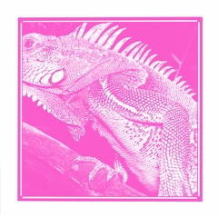 B4 TIME COW (EQUIKNOXX) - CHIPHEADS DUB