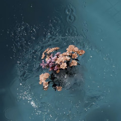 Dread Head flow(ft Buda1918)