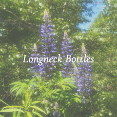 Longneck Bottles