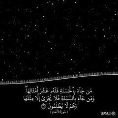 من جاء بالحسنة فله عشر أمثالها | سورة الأنعام