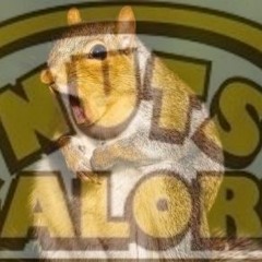NutsGalore (A Squirrels Dream)