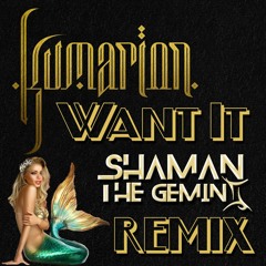 Shaman Flip's & Remix's