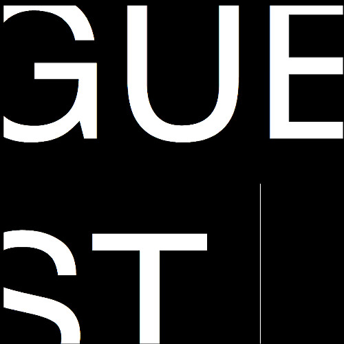 SLOW JAMS & STEPPERS Vol 20