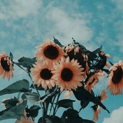 DJ JORDAN X MAXDON - SEASIDE - [REMIX 2021]