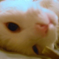 Stay With Me / Mayonaka no Door / 真夜中のドア