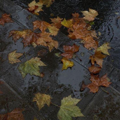 не люблю смотреть на осень