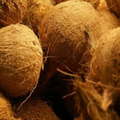 As Mestras - Aurinha Do Coco