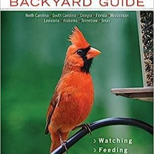 Stream PDF book Southern Birds Backyard Guide Watching Feeding