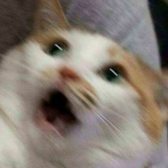 【答案借你抄系列01】公投怎麼投？該挺同還是反同？(錄製日期 2018年11月14日)