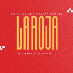 LA ROJA - GATO GUILLE X ITALIAN SOMALI X MONSTER X SEKKUA
