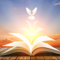 Battles | made on the Rapchat app (prod. by lilqueng)