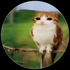 despair ahh 808s but looped for 42 secs