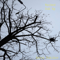 Anton Kubikov - Nacked Dub Ep Preview