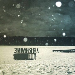 Зимняя