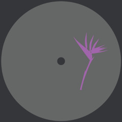 Premiere : Zenk - Juicy Breakfast (PRP017)