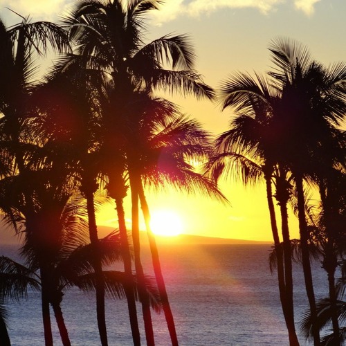 Beach Discotheque