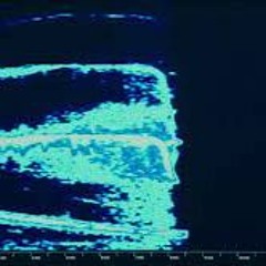 Wolf Call Mixtape No.1 (Feat. Feelogwavs)