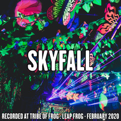 Skyfall - Recorded at Tribe of Frog Leap Frog February 2020