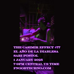 The Casimir Effect 77 | El año de la diablesa | Sari Postol 1 Jan 2025