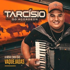 NÊGA - TARCISIO Feat VITOR FERNANDES (EvandrooMiix Piseiro)