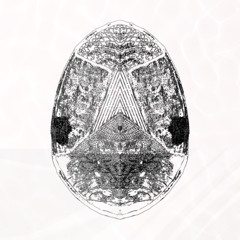 PREMIERE | Bellum - Uking Xals [CC065]