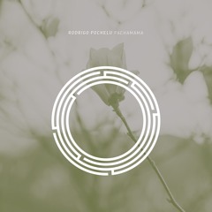 Rodrigo Pochelu - Lost In The Drums (Original Mix)
