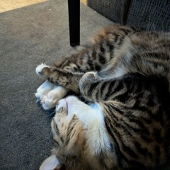 something inside of me (experiment)