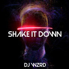 DJ WZRD - Shake It Down