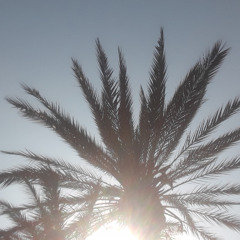 Poivre Noir Piment Rouge SAM 1 NOV 2025