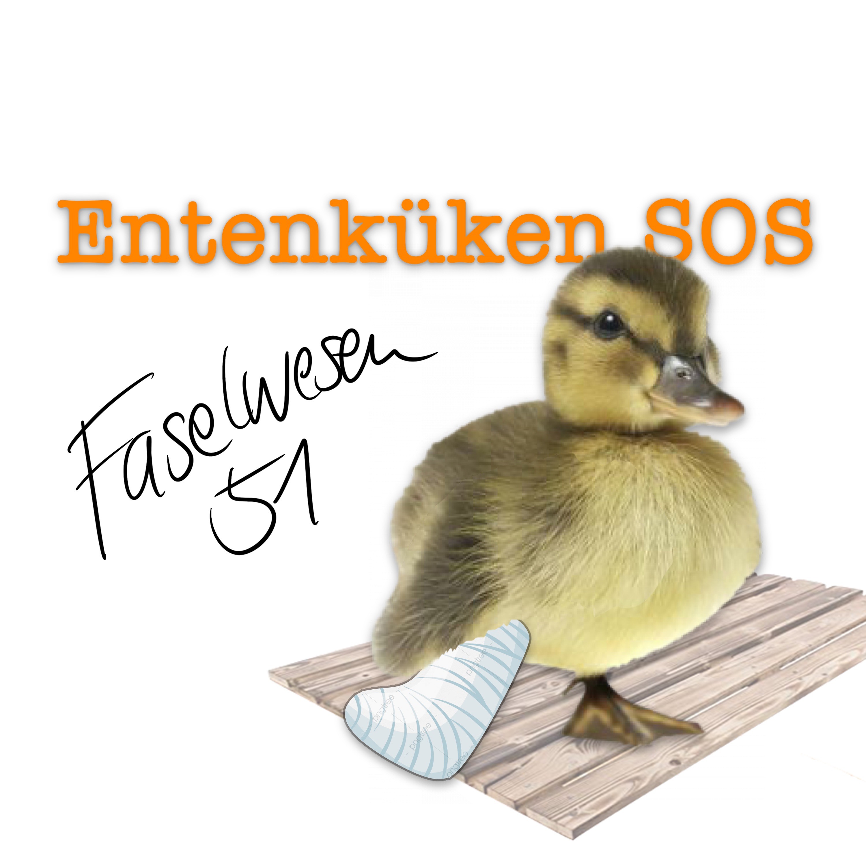 Faselwesen Podcasts