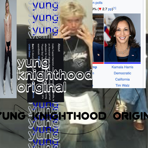 if 2hollis met kamala harris