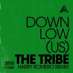 DOWNLow (US) – The Tribe (Harry Romero Remix)