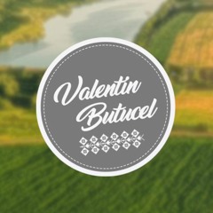 Stream Valentin Butucel music | Listen to songs, albums, playlists for free  on SoundCloud