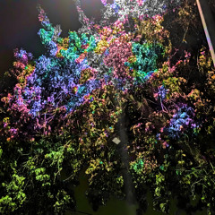 3G global (prod. yorona)