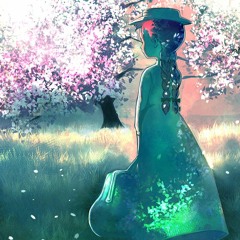 Blossoms 咲く