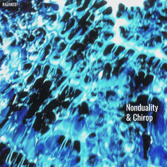 NEW HIT: Nonduality & Chirop - Homology [RAUMER 9]