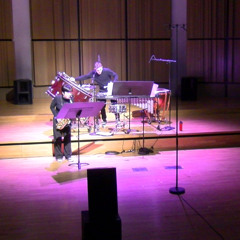 Arrêt sur image - pour saxophone alto, percussions et électronique - Sasha Desbrosses