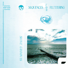 Shine Grooves - Diving with Alinia [Not Not Fun]
