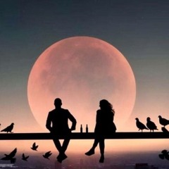 شرين ..الأختيار الصعب ♥️