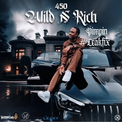 450 x DJ Leaky - Wild, Rich, & Pimpin #LeakFix
