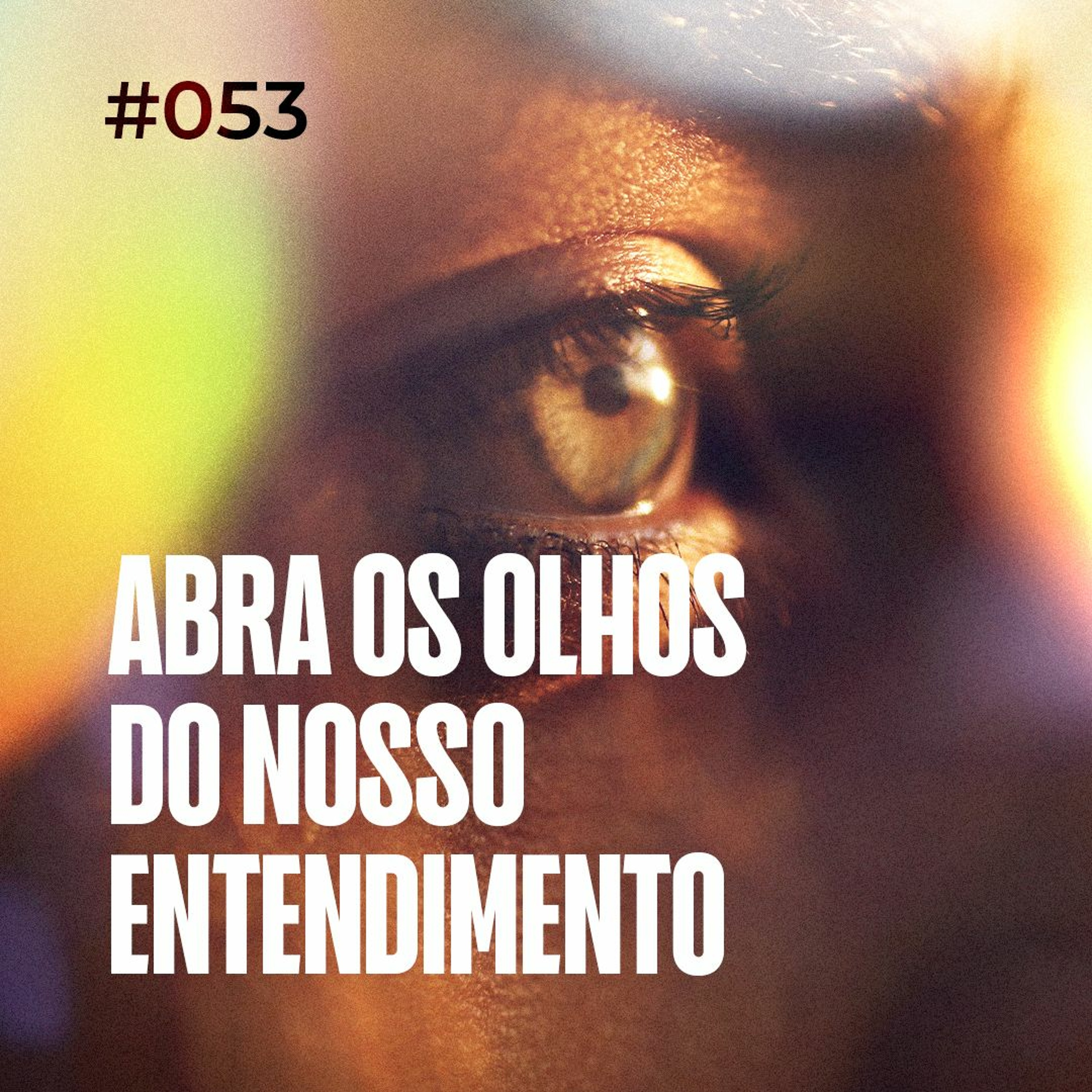 Dirce Carvalho