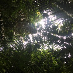 01_25_20 Isla Peregrina Morning (Pacific Coast)