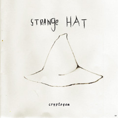 Strange Hat.sample