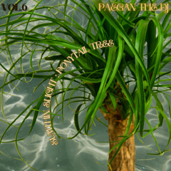 Sumthin Slight: The Ponytail Tree