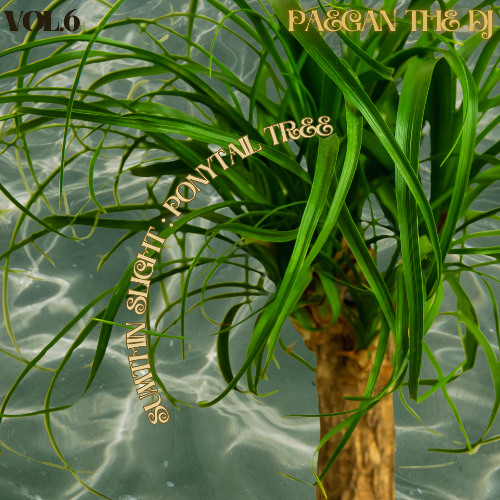 Sumthin Slight: The Ponytail Tree