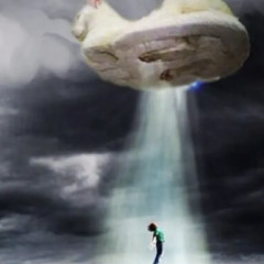 Terminal Velocity Amplitude